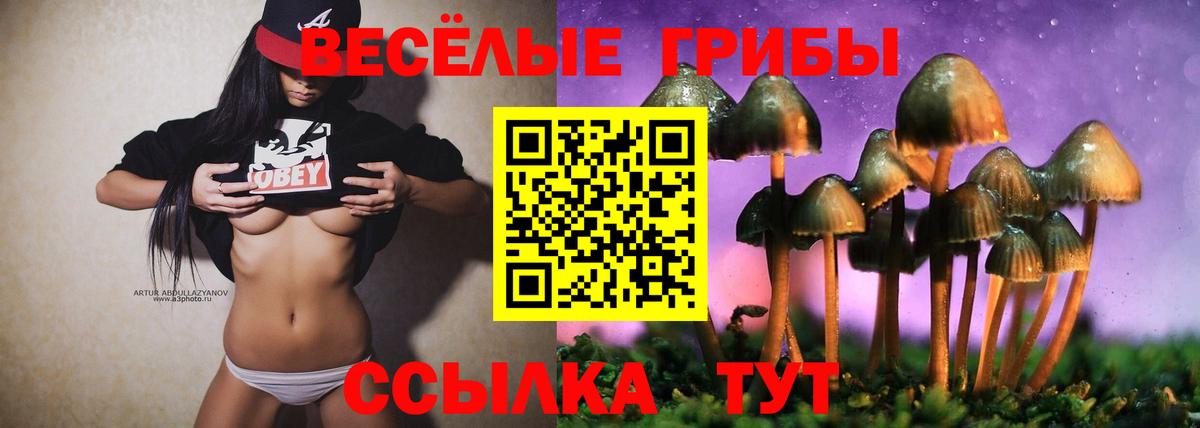 Красный Сулин  где найти наркотики  Вход с VPN  Псилоцибиновые грибы ЛСД 